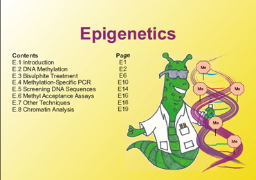 Epigenetics